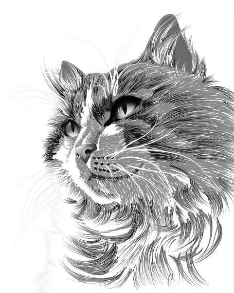 Иллюстрация к книге — Васюткино озеро. С вопросами и ответами для почемучек [i_101.jpg]