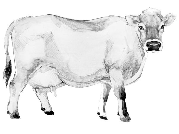 Иллюстрация к книге — Васюткино озеро. С вопросами и ответами для почемучек [i_102.jpg]