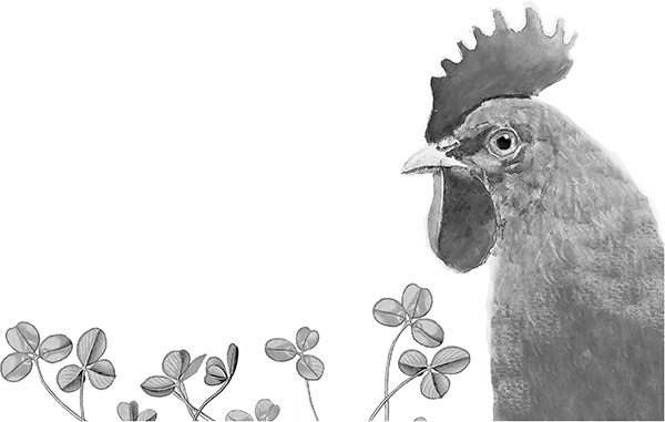 Иллюстрация к книге — Васюткино озеро. С вопросами и ответами для почемучек [i_103.jpg]