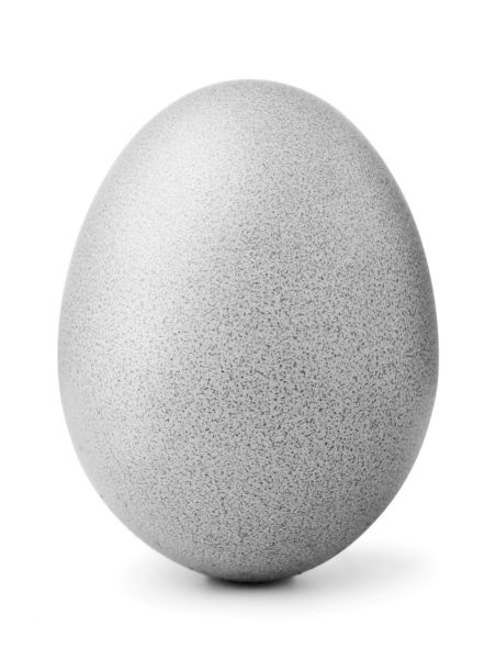 Иллюстрация к книге — Васюткино озеро. С вопросами и ответами для почемучек [i_107.jpg]