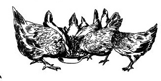 Иллюстрация к книге — Васюткино озеро. С вопросами и ответами для почемучек [i_108.jpg]