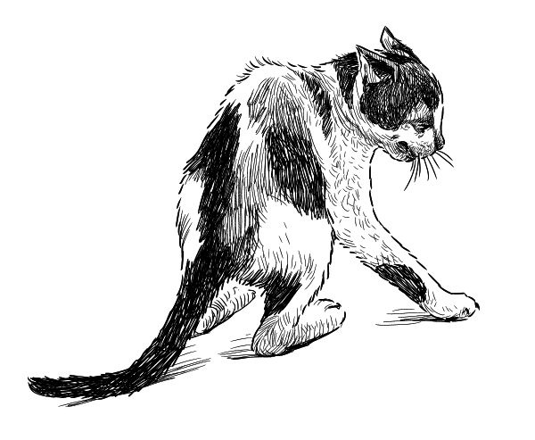 Иллюстрация к книге — Васюткино озеро. С вопросами и ответами для почемучек [i_111.jpg]