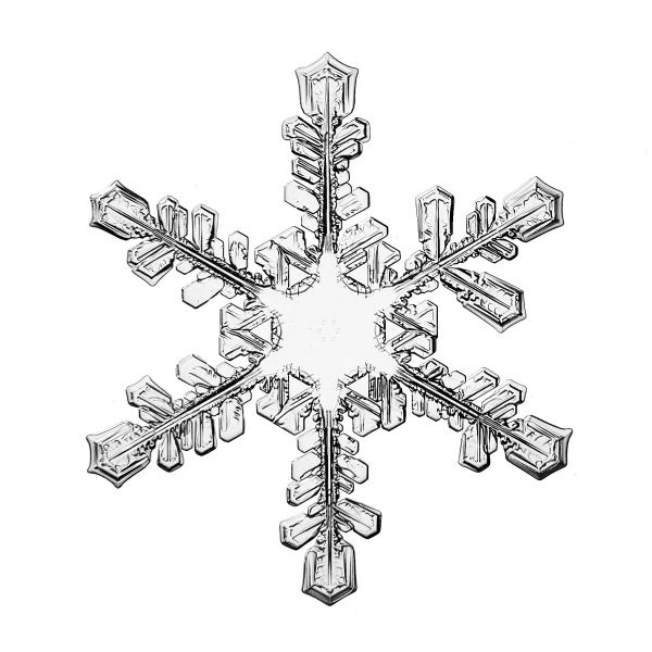 Иллюстрация к книге — Васюткино озеро. С вопросами и ответами для почемучек [i_113.jpg]