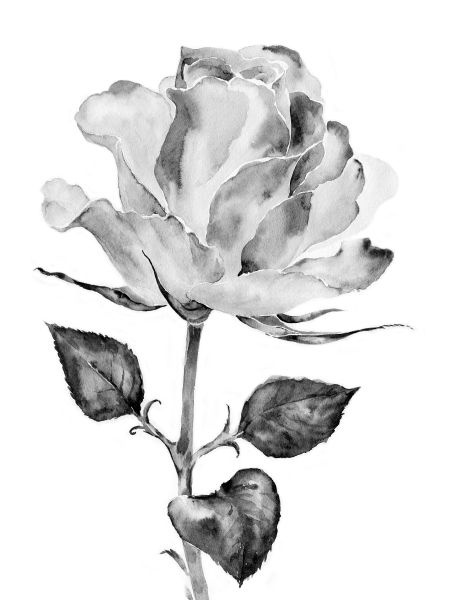 Иллюстрация к книге — Васюткино озеро. С вопросами и ответами для почемучек [i_121.jpg]