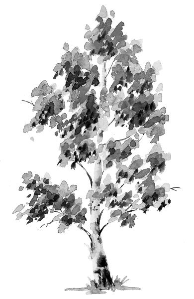 Иллюстрация к книге — Васюткино озеро. С вопросами и ответами для почемучек [i_125.jpg]