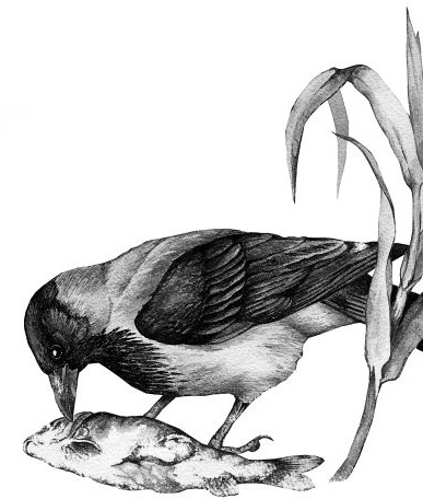 Иллюстрация к книге — Васюткино озеро. С вопросами и ответами для почемучек [i_129.jpg]