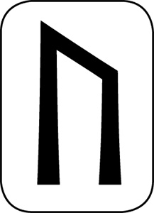 Иллюстрация к книге — Магия рун. Заклинания, талисманы, мудры и гальдор, которые могут все [i_008.jpg]