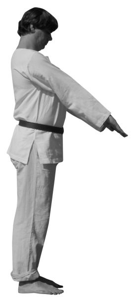 Иллюстрация к книге — Магия рун. Заклинания, талисманы, мудры и гальдор, которые могут все [i_124.jpg]