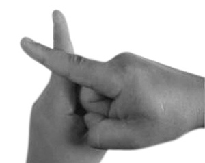 Иллюстрация к книге — Магия рун. Заклинания, талисманы, мудры и гальдор, которые могут все [i_167.jpg]