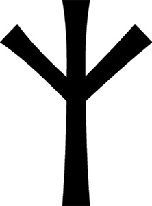 Иллюстрация к книге — Магия рун. Заклинания, талисманы, мудры и гальдор, которые могут все [i_183.jpg]