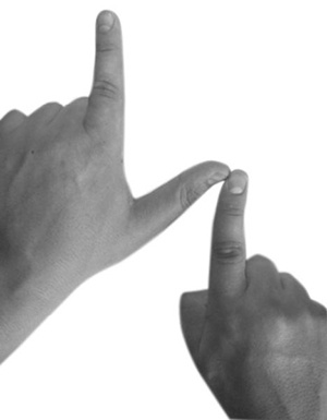 Иллюстрация к книге — Магия рун. Заклинания, талисманы, мудры и гальдор, которые могут все [i_188.jpg]