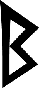 Иллюстрация к книге — Магия рун. Заклинания, талисманы, мудры и гальдор, которые могут все [i_194.jpg]