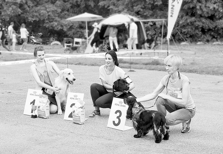 Иллюстрация к книге — Диалог с собакой. Выбираем, воспитываем, дрессируем [i_003.jpg]