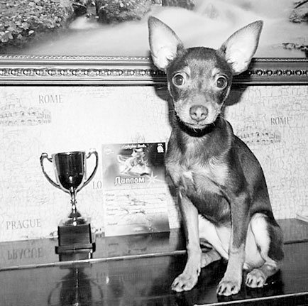 Иллюстрация к книге — Диалог с собакой. Выбираем, воспитываем, дрессируем [i_008.jpg]