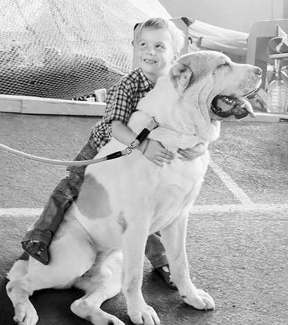 Иллюстрация к книге — Диалог с собакой. Выбираем, воспитываем, дрессируем [i_019.jpg]