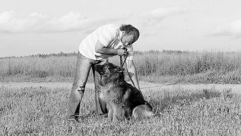 Иллюстрация к книге — Диалог с собакой. Выбираем, воспитываем, дрессируем [i_036.jpg]
