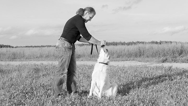 Иллюстрация к книге — Диалог с собакой. Выбираем, воспитываем, дрессируем [i_040.jpg]