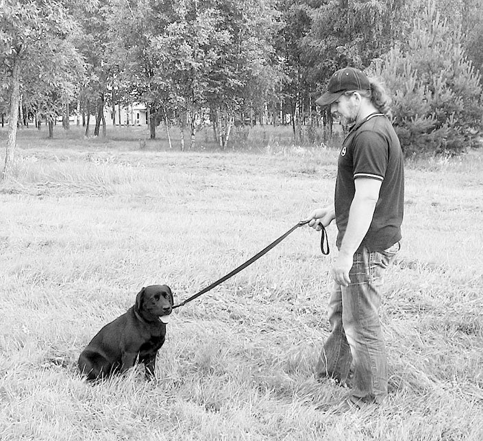 Иллюстрация к книге — Диалог с собакой. Выбираем, воспитываем, дрессируем [i_043.jpg]