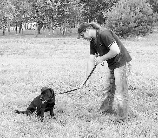Иллюстрация к книге — Диалог с собакой. Выбираем, воспитываем, дрессируем [i_044.jpg]