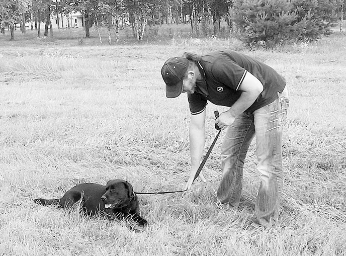Иллюстрация к книге — Диалог с собакой. Выбираем, воспитываем, дрессируем [i_045.jpg]