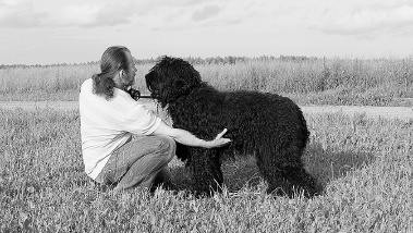 Иллюстрация к книге — Диалог с собакой. Выбираем, воспитываем, дрессируем [i_050.jpg]
