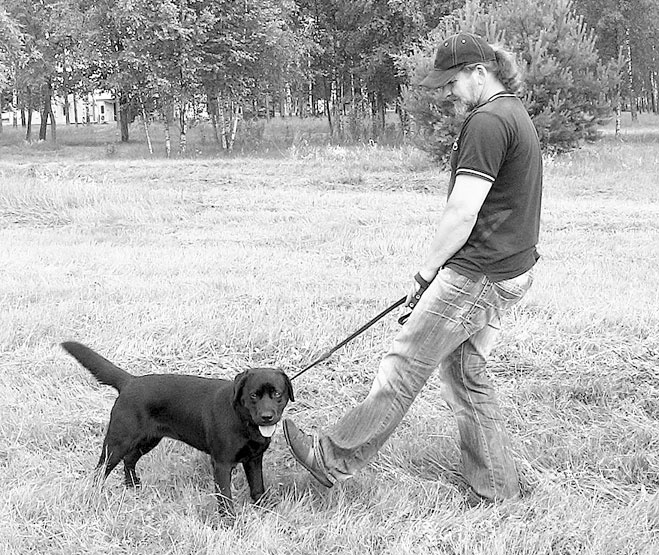 Иллюстрация к книге — Диалог с собакой. Выбираем, воспитываем, дрессируем [i_051.jpg]