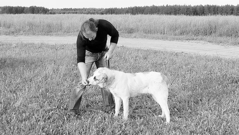 Иллюстрация к книге — Диалог с собакой. Выбираем, воспитываем, дрессируем [i_056.jpg]