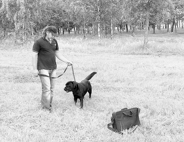 Иллюстрация к книге — Диалог с собакой. Выбираем, воспитываем, дрессируем [i_057.jpg]