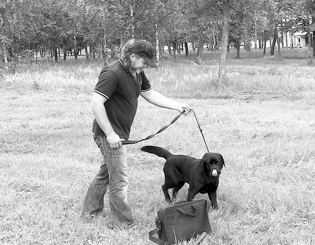 Иллюстрация к книге — Диалог с собакой. Выбираем, воспитываем, дрессируем [i_058.jpg]