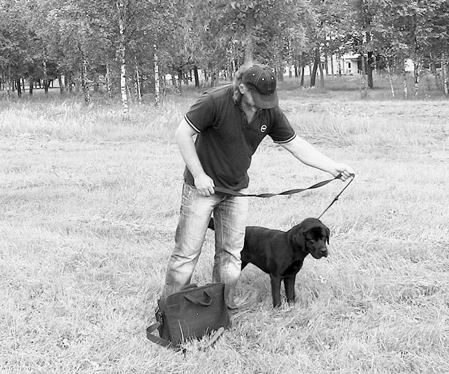 Иллюстрация к книге — Диалог с собакой. Выбираем, воспитываем, дрессируем [i_059.jpg]