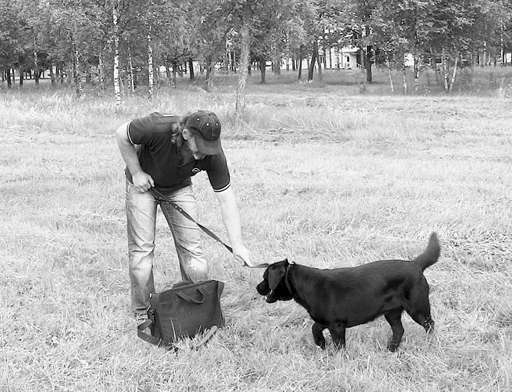 Иллюстрация к книге — Диалог с собакой. Выбираем, воспитываем, дрессируем [i_060.jpg]