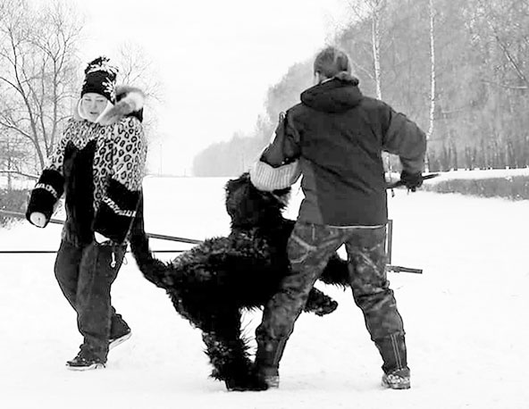 Иллюстрация к книге — Диалог с собакой. Выбираем, воспитываем, дрессируем [i_063.jpg]