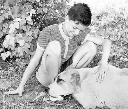 Иллюстрация к книге — Диалог с собакой. Выбираем, воспитываем, дрессируем [i_064.jpg]