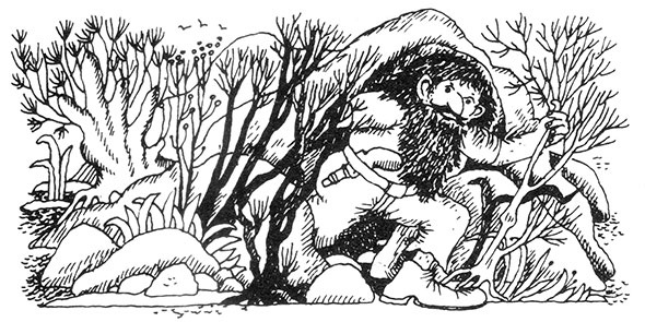 Иллюстрация к книге — Большая книга о разбойнике Грабше [i_007.jpg]