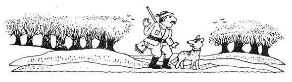 Иллюстрация к книге — Большая книга о разбойнике Грабше [i_008.jpg]