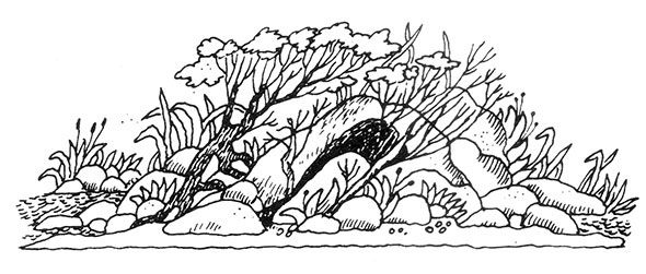 Иллюстрация к книге — Большая книга о разбойнике Грабше [i_012.jpg]