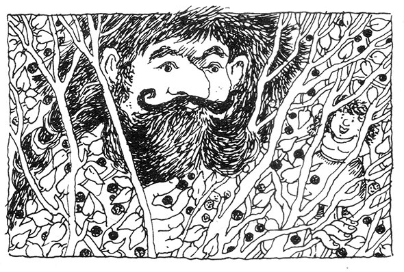 Иллюстрация к книге — Большая книга о разбойнике Грабше [i_037.jpg]