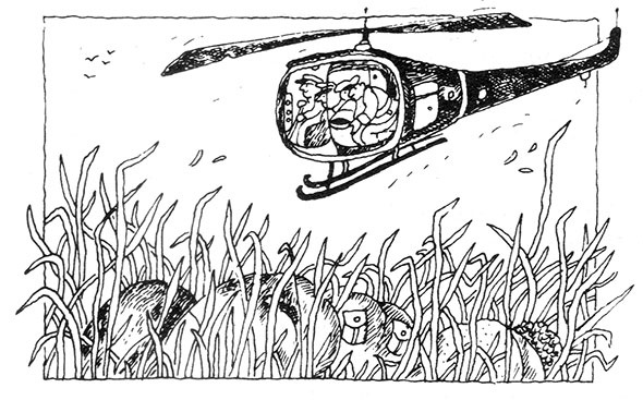 Иллюстрация к книге — Большая книга о разбойнике Грабше [i_082.jpg]