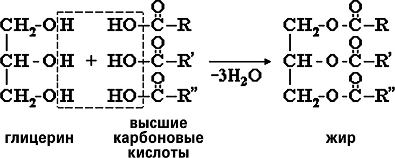 Иллюстрация к книге — Мифы о нашем теле. Научный подход к примитивным вопросам [i_001.jpg]