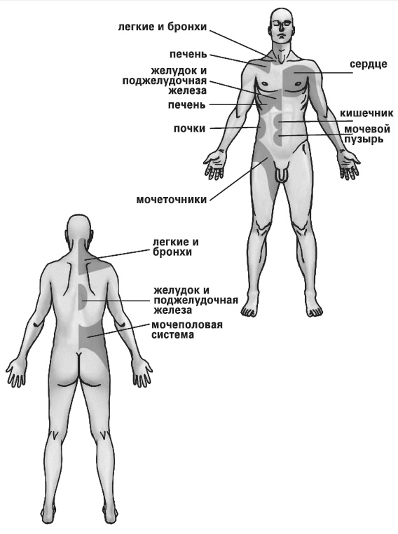 Иллюстрация к книге — Мифы о нашем теле. Научный подход к примитивным вопросам [i_016.jpg]