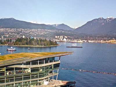 Иллюстрация к книге — Закулисье Олимпийских игр. Записки олимпийского волонтера [i_039.jpg]