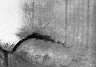 Иллюстрация к книге — Вопросительные знаки в "Царском деле" [_121.jpg]