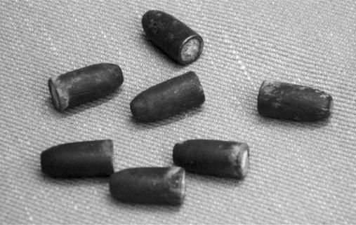 Иллюстрация к книге — Вопросительные знаки в "Царском деле" [_82.jpg]