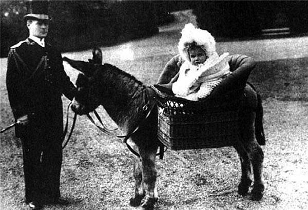 Иллюстрация к книге — Претерпевшие до конца. Судьбы царских слуг, оставшихся верными долгу и присяге [_104.jpg]