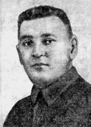 Иллюстрация к книге — Цареубийца. Маузер Ермакова [autogen_ebook_id31.jpg]