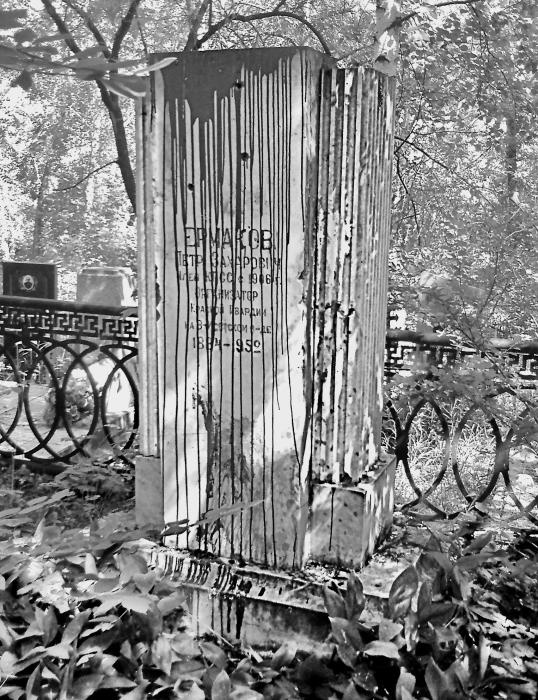 Иллюстрация к книге — Цареубийца. Маузер Ермакова [autogen_ebook_id62.jpg]