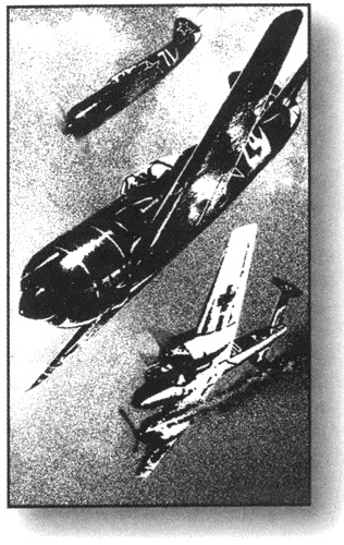 Иллюстрация к книге — Выбираю таран [i_002.jpg]