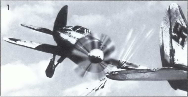 Иллюстрация к книге — Выбираю таран [i_049.jpg]