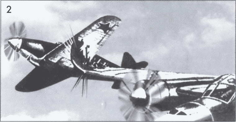 Иллюстрация к книге — Выбираю таран [i_050.jpg]