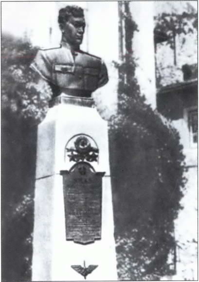 Иллюстрация к книге — Выбираю таран [i_067.jpg]